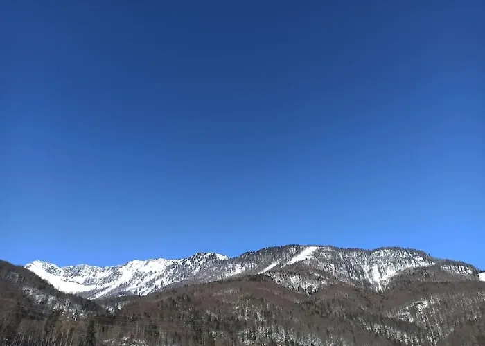 Tonis - Ihr Bett Im Herzen Des Salzkammergutes