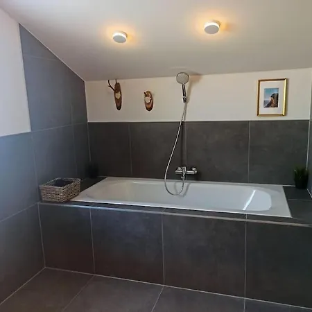 Apartmán Tonis - Ihr Bett Im Herzen Des Salzkammergutes Bad Goisern