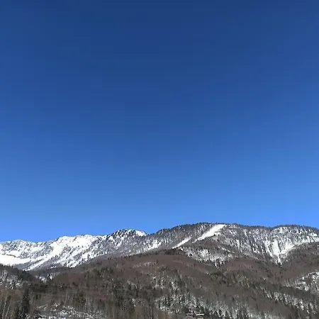 Tonis - Ihr Bett Im Herzen Des Salzkammergutes